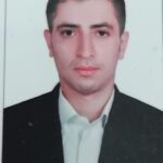شاهین بیگی