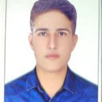 امیرحسین افسری چنار
